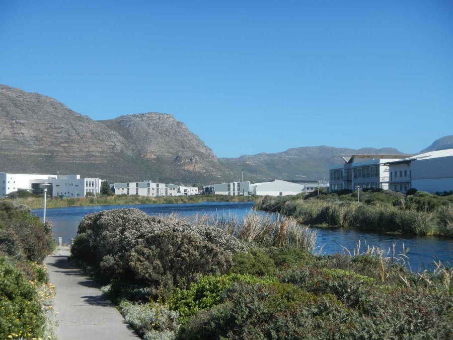 To Let commercial Property for Rent in Capricorn Western Cape